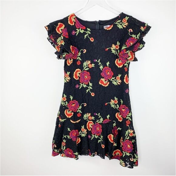 Anthropologie Eva Franco Poppy Black Floral Embroidered Mini Dress 4P Drop Waist - Picture 9 of 14